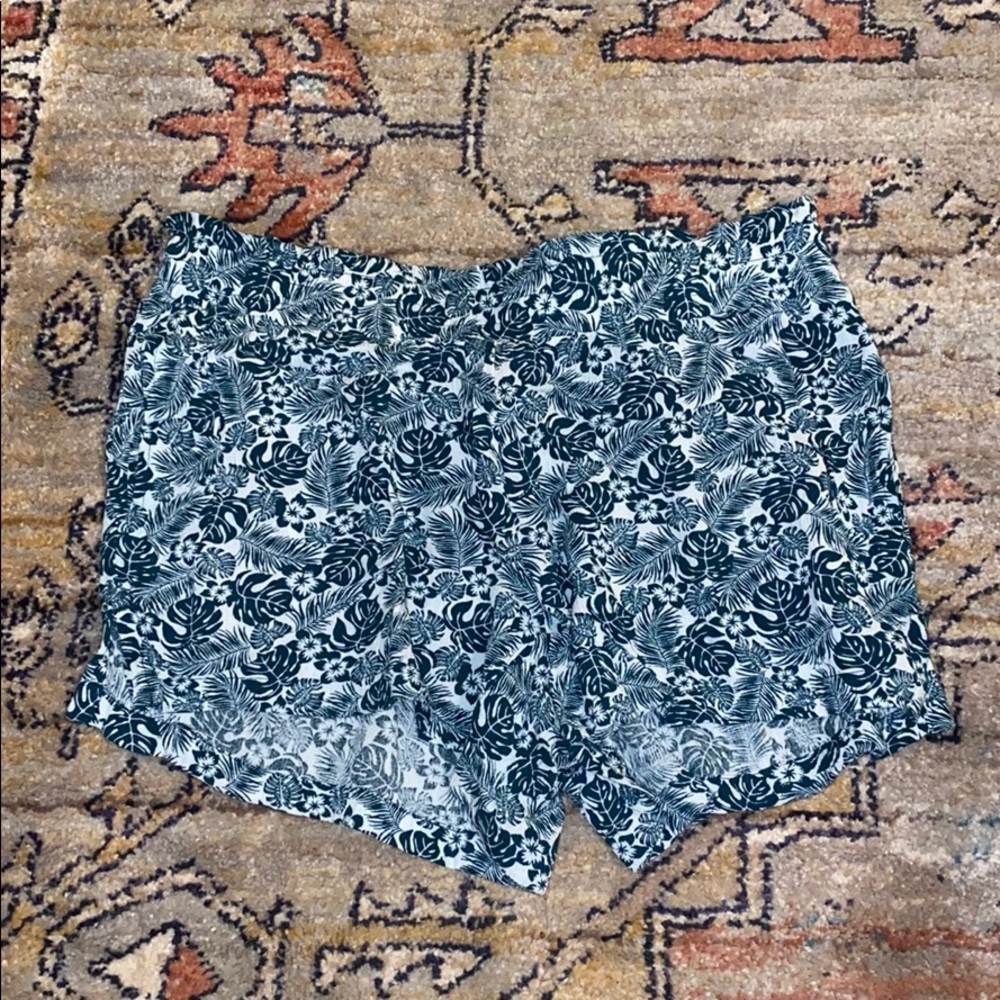 Ann Taylor Loft Shorts